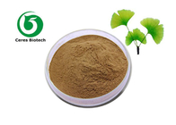 High purity ginkgo biloba leaf extract/ginkgo biloba extract ginkgo biloba extract powder