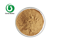 Food Grade Herbal Extract Powder 100:1 Kanna Sceletium Tortuosum Extract Powder
