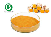 Orange Yellow Powder Turmeric Curcumin Extract Curcumin 10% Curcuma Longa L