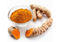 Orange Yellow Powder Turmeric Curcumin Extract Curcumin 10% Curcuma Longa L