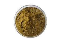 Pure Natural Ginkgo Biloba Extract Powder Flavonoids 24% Ginkgolide 6%