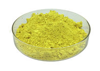 Food Pharm Grade Herbal Extract Powder Sophora Japonica Extract Quercetin Powder