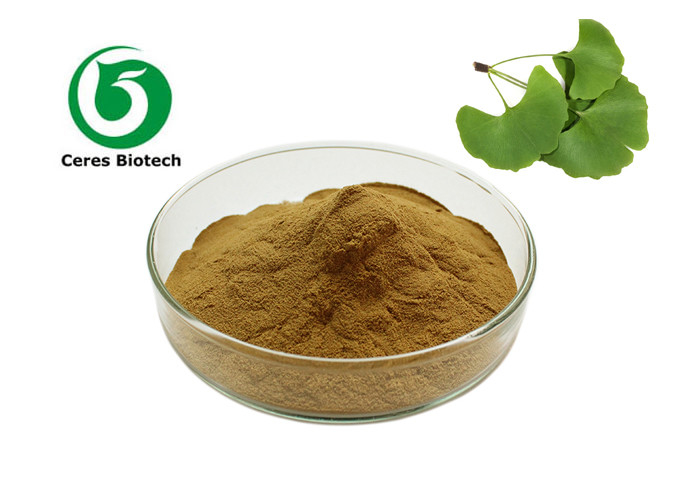5ppm Ginkgo Biloba Leaf Extract Powder 24% Flavones 6% lactones