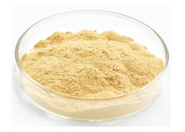 Pure Ginseng Powder Ginsenoside Rg1 Rg2 Rg3 Skin Beauty Improving Immune