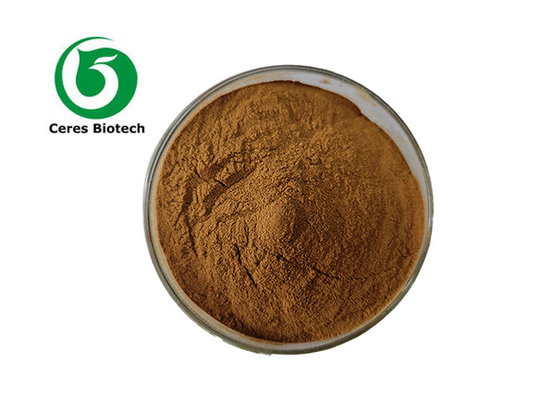 اطلع على الفوائد الصحية لمستخلص النخيل السكر من مصدر نباتي Astragalus Membranaceus