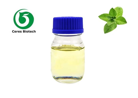 مصنع زيت النعناع المنعش بالجملة